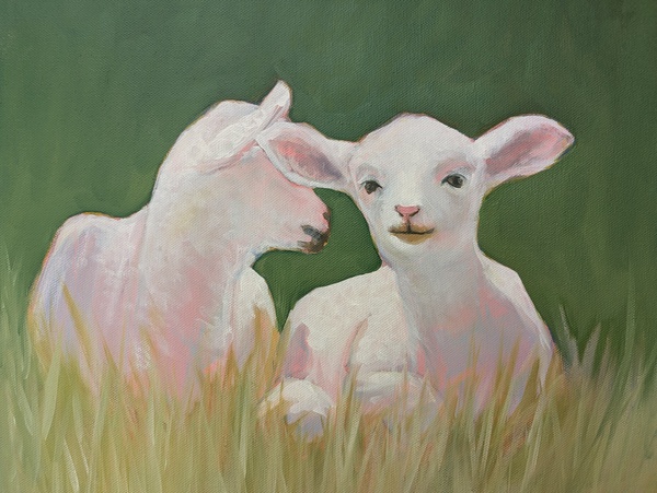 Spring Lambs